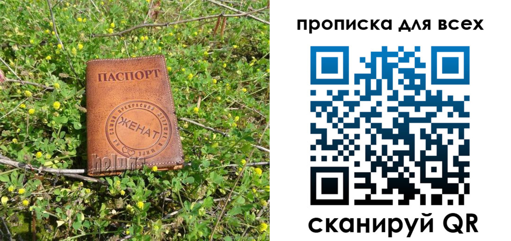 прописка поиск в Реутове